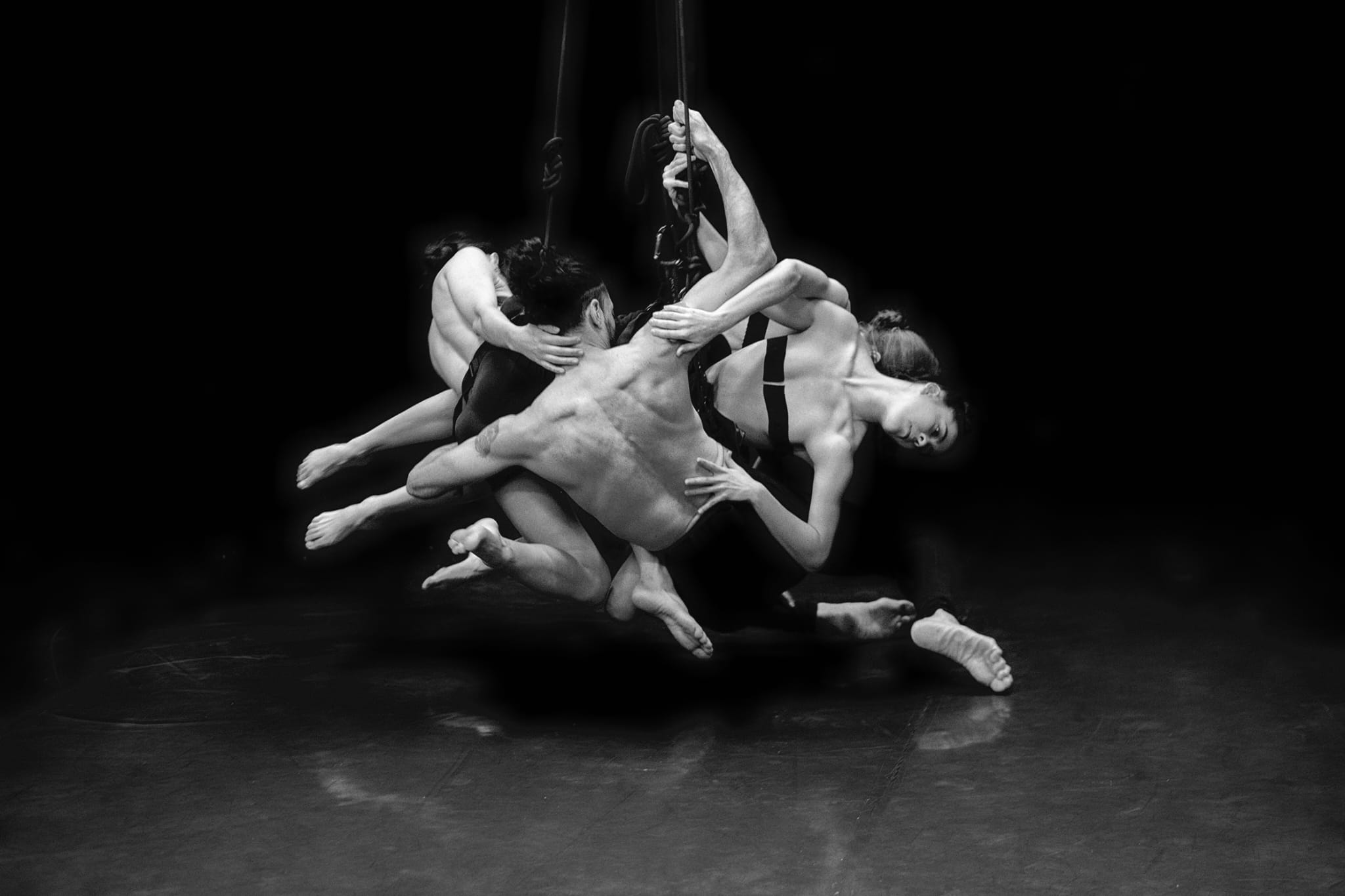 TOGETHERNESS image 6